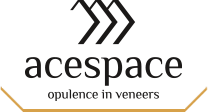 Ace Space Logo